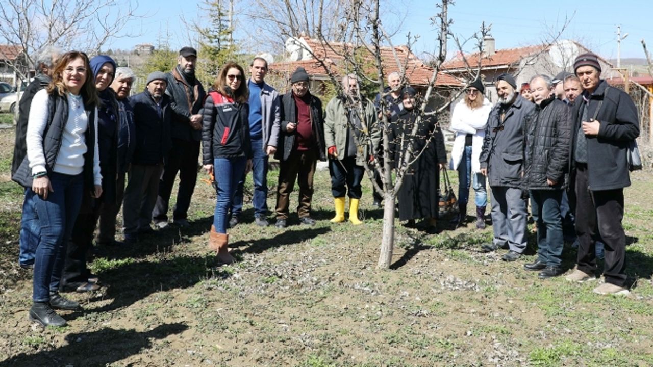 Eskişehir çiftçisine meyve ağaçlarında aşılama kursu