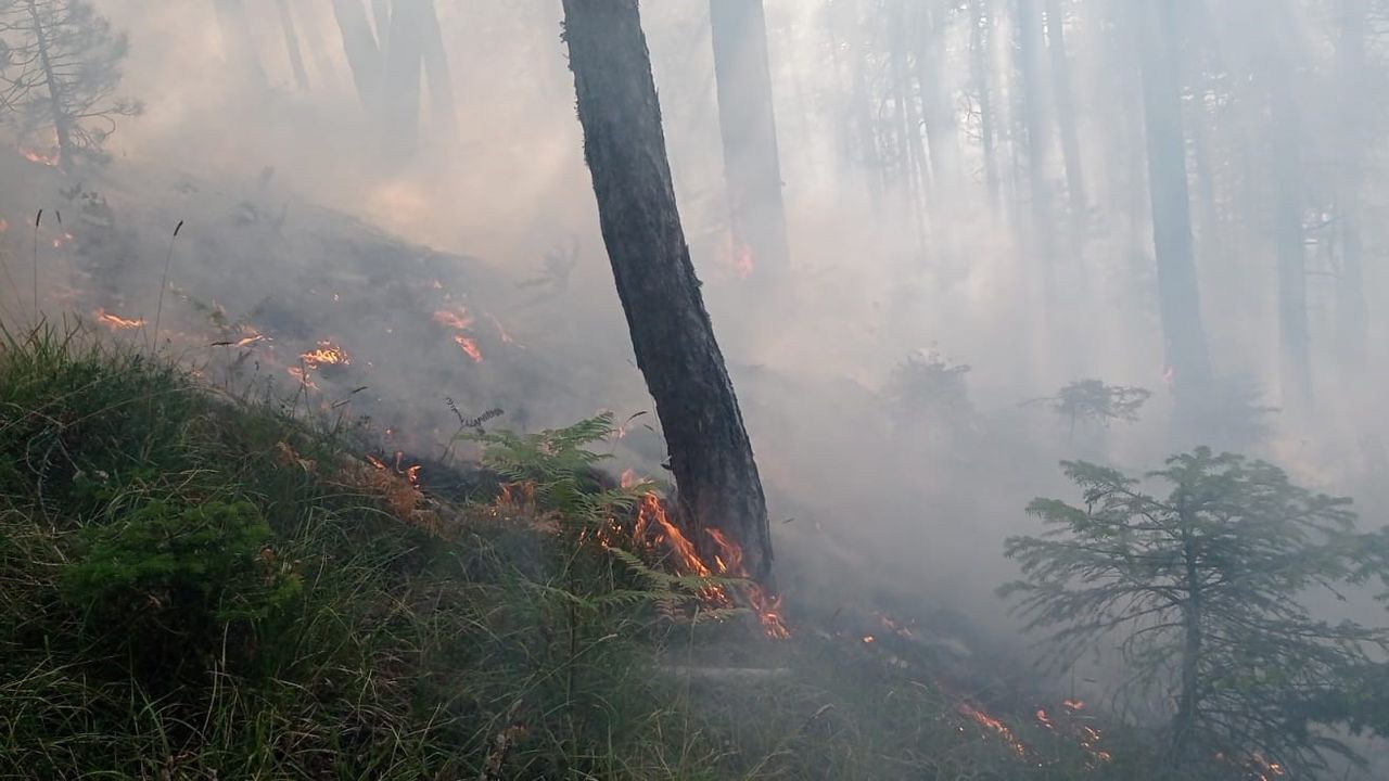 Bozüyük'te orman yangını! 25 dönüm arazi kül oldu