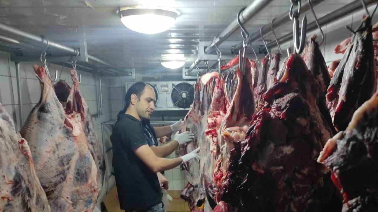 Et ve et ürünleri satan işletmelere yönelik denetim