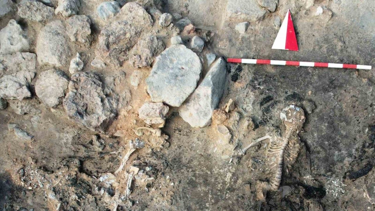 Tavşanlı Höyük kazılarında 3 bin 700 yıllık insan beyni ve deri kalıntıları çıktı