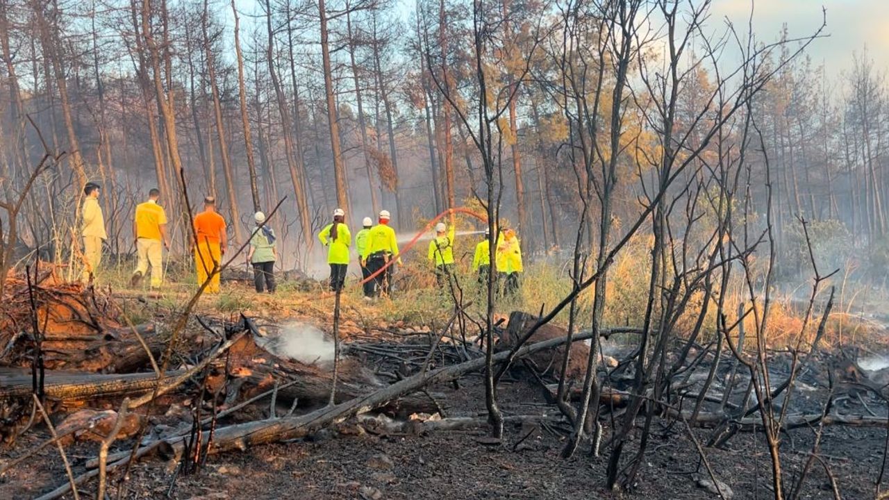 Orman yangını kontrol altında