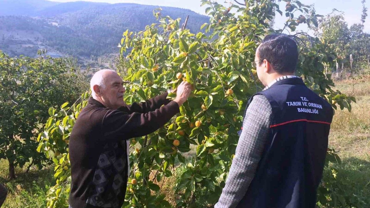Emet’te çiftçilere meyve ağaçlarında bitki sağlığı ile ilgili mücadele yöntemleri anlatıldı