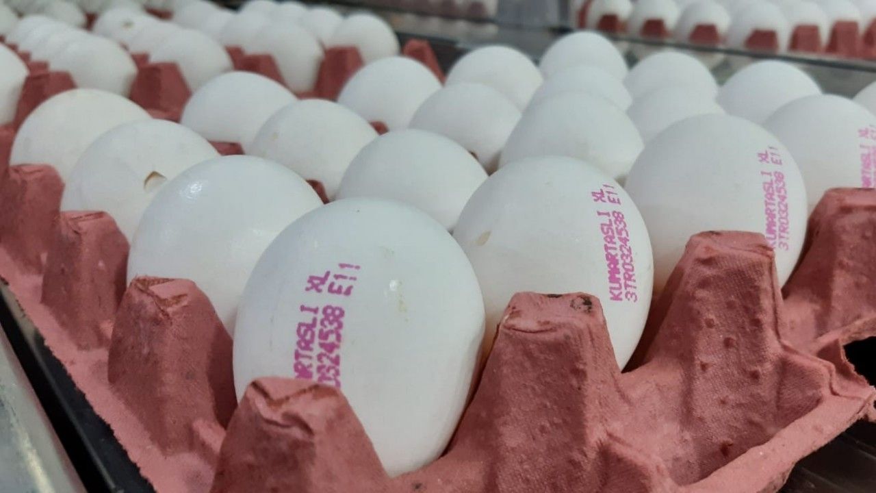 Yumurta fiyatlarının yükselmesinde üreticiler aracıları sorumlu tuttu