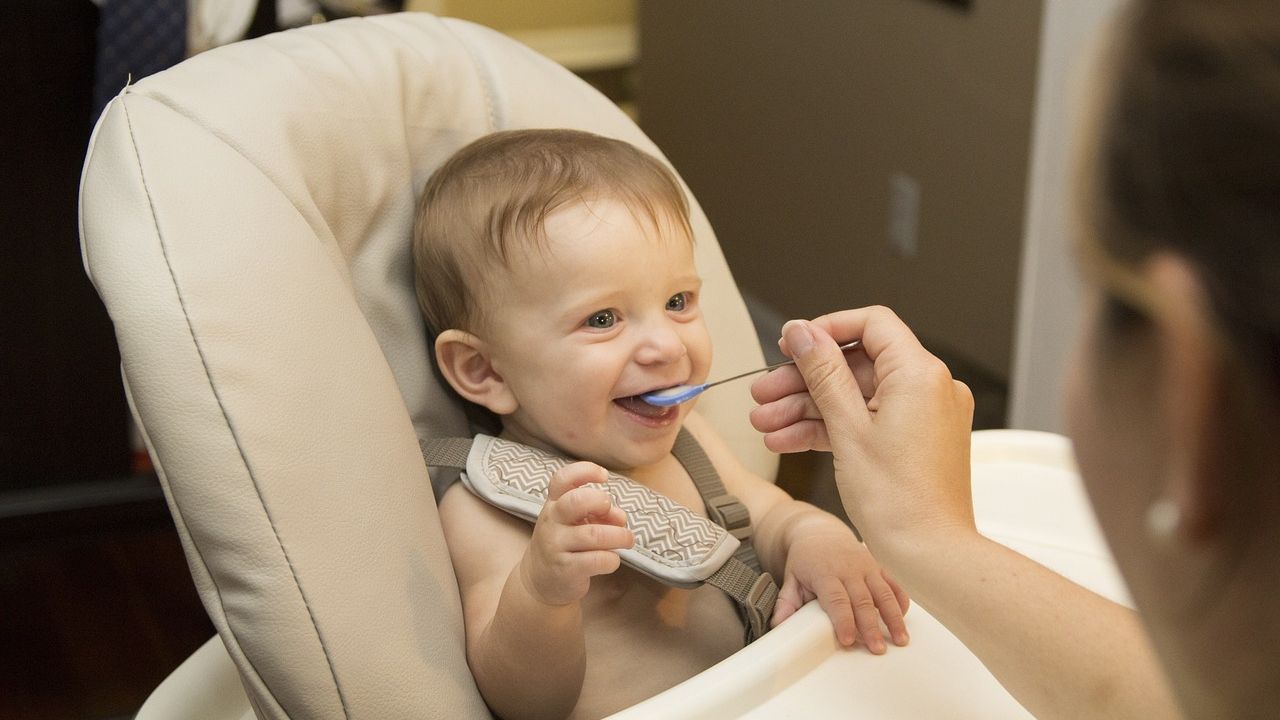 Bebeklerde ek gıdaya ne zaman başlanır, aylara göre besleyici ek gıda tarifleri nelerdir?