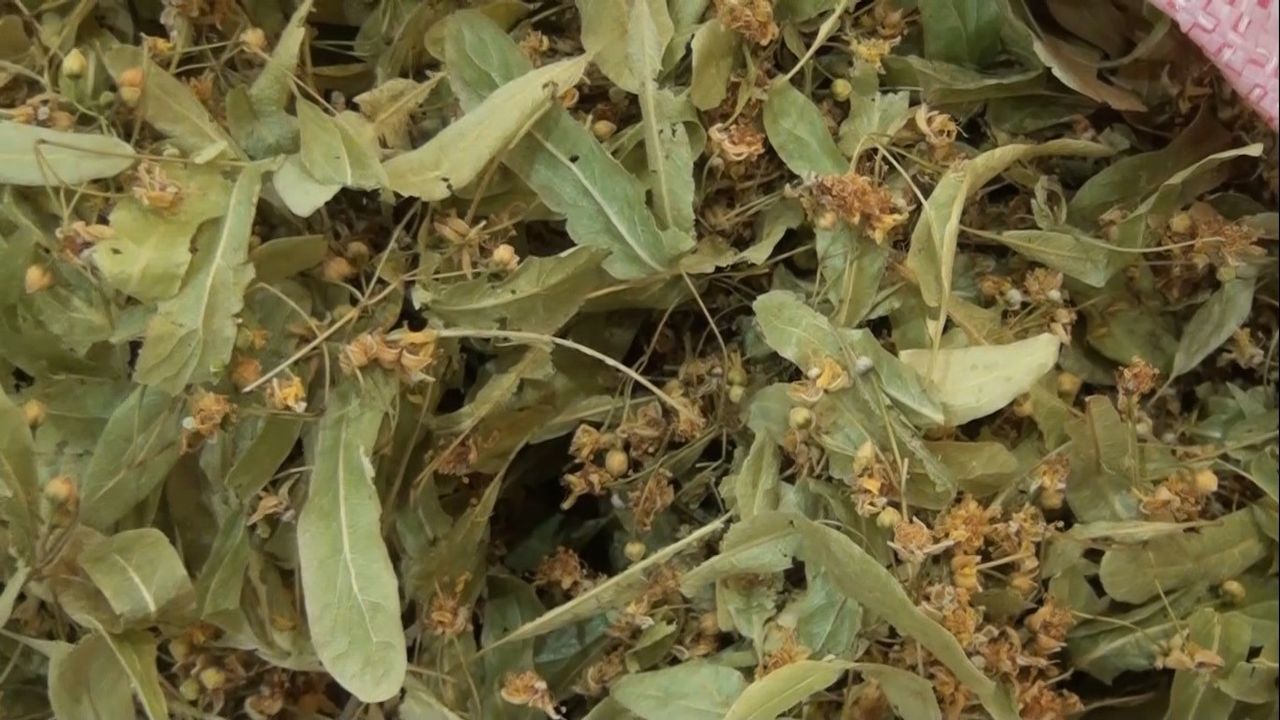 Kütahya’da aktarlara talep kışla birlikte arttı