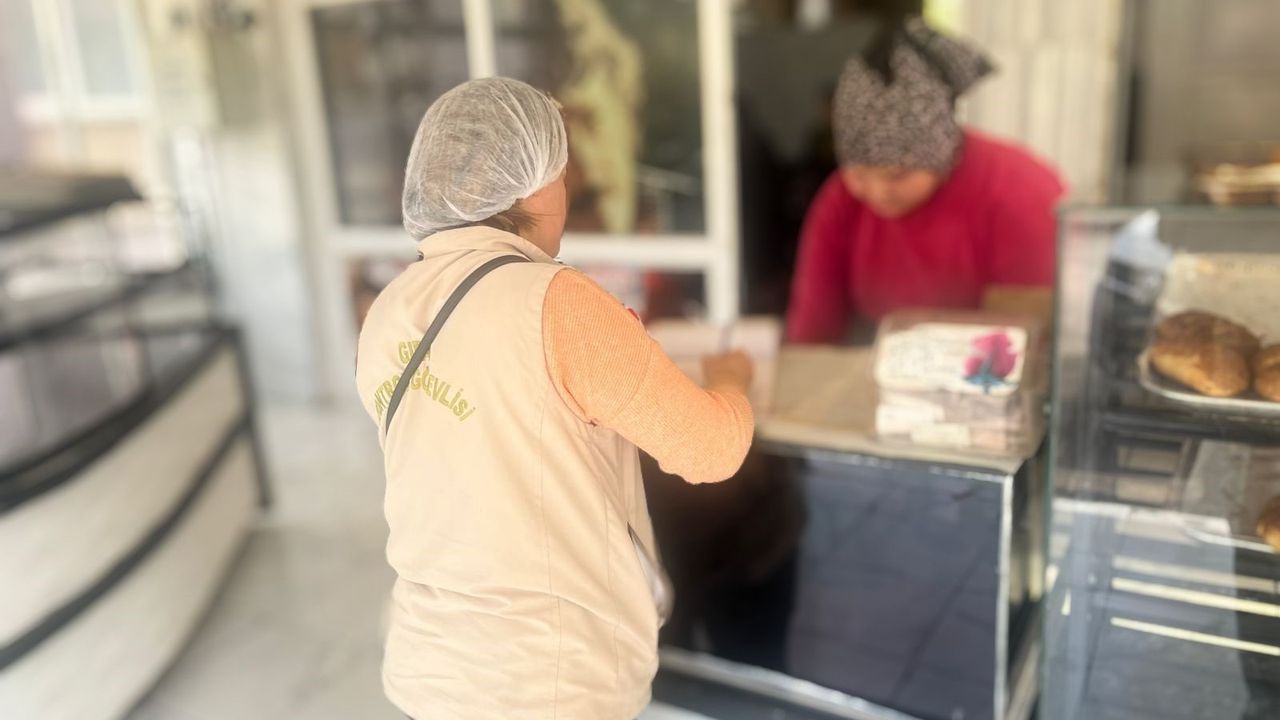 Afyon'da hijyen denetimi