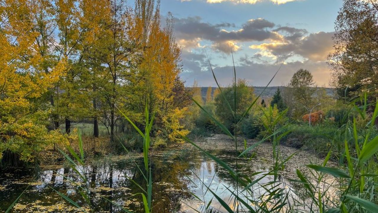 Sonbahar Eskişehir’e çok yakıştı: Kartpostallık görüntüler...
