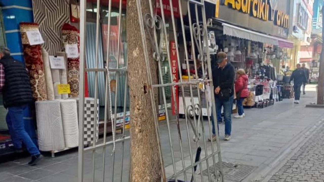 Eskişehir'de ağaç çevresine kepenk monte edildi