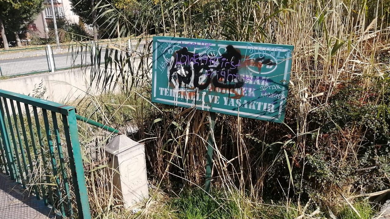 Eskişehir'de vandallar sınır tanımıyor
