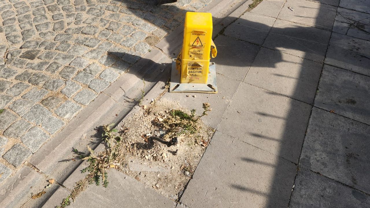 Eskişehir’de elektrik hatları tehlike saçıyor!