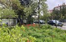 Eskişehir’de sokakları bahar renklerine büründü