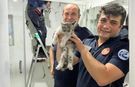 Eskişehir'de kedi kurtarma operasyonu!