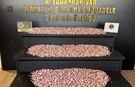 Kargo yoluyla zehir ticaretine büyük vurgun!