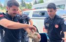 Aracından gelen sesi duydu, kedinin hayatını kurtardı!