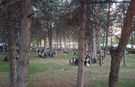 Eskişehirliler akşam serinliğinde parklara akın etti