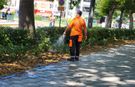 Yeşil alanlarda bakım seferberliği sürüyor