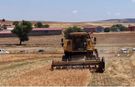 Kütahya’da 18 farklı nohut çeşidi aynı alanda yetiştirildi