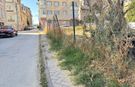 Eskişehir’de otlarla kaplanan kaldırımlar tepki çekiyor