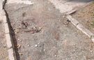 Bilecik’teki parkın görüntüsü dikkat çekti!