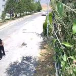 Eskişehir'de dolandırıcıların planını 8 yaşındaki torun bozmuştu: Şüpheli yakalandı!