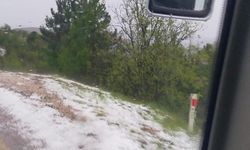Mihalıççık’ta dolu yağışı tarım arazilerine zarar verdi