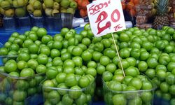 Manavda tezgâhların gözdesi papaz eriği