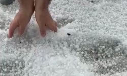 Mayıs ayında avuç avuç dolu yağdı