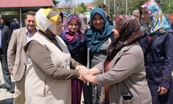 GÜÇLÜ BAŞKAN GÜÇLÜ MECLİS