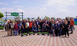 TEPEBAŞI YANINIZDA