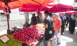 UCUZ ÜRÜN ARAYIŞI