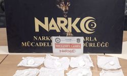 6 şüpheli tutuklandı