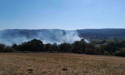 Bilecik'te yangın çıktı: 40 dönümlük arazi zarar gördü