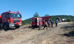 Kütahya’daki orman yangını kontrol altına alındı