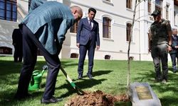 TBMM Başkanı Kurtulmuş Bilecik’te fidan dikti