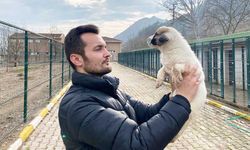 Eskişehir, Bursa ve Bilecik'e hitap ediyor... Tedavi ve rehabilitasyon bir arada