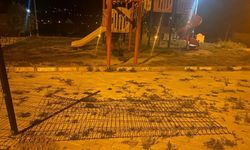 Parka giren ayı gençleri kovaladı!