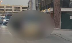 Eskişehir'deki sürücü görenleri hayrete düşürdü!