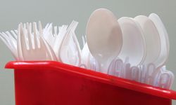 İngiltere'de tek kullanımlık plastik çatal, bıçak ve tabaklar yasaklandı