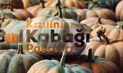 Bal Kabağı Panayırı yarın nerede, ücretsiz ulaşım nasıl sağlanacak?