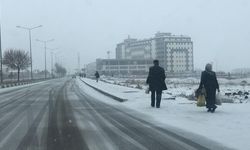 Kars-Iğdır kara yolu tipi nedeniyle tır trafiğine kapatıldı