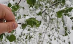 Eskişehir'de buzlanma ve don bekleniyor