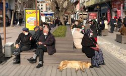 Eskişehir'de hava sıcaklığı 21 dereceye ulaşacak