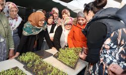 Eskişehir'in o ilçelerinde 45 kadın çiftçiye...