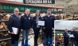 Tepebaşı’nda bir çiftlik Avrupa Birliği onaylı sertifikasını aldı
