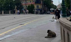 Eskişehir'de yağmur nedeniyle sokaklar boş kaldı