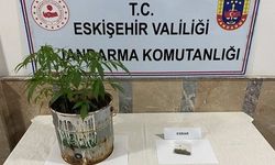 Eskişehir'de 9 farklı uyuşturucu operasyonu!