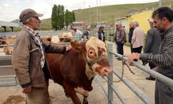 Eskişehir'de yetkililerinden, kurbanlıklar için uyarı