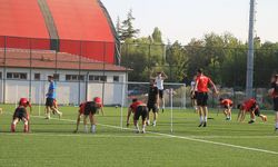 Eskişehirspor Gaziantep’e bileniyor