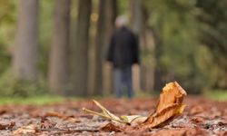 Mevsimsel geçişlere dikkat: Depresyona girmeyin!