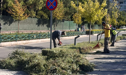 Eskişehir'de sonbahar temizliği başladı